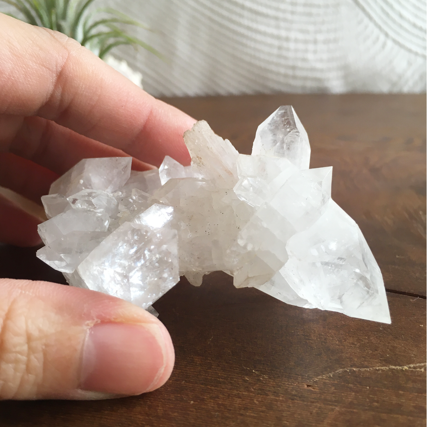 Clear Shiny Apophyllite Crystal Cluster 0E