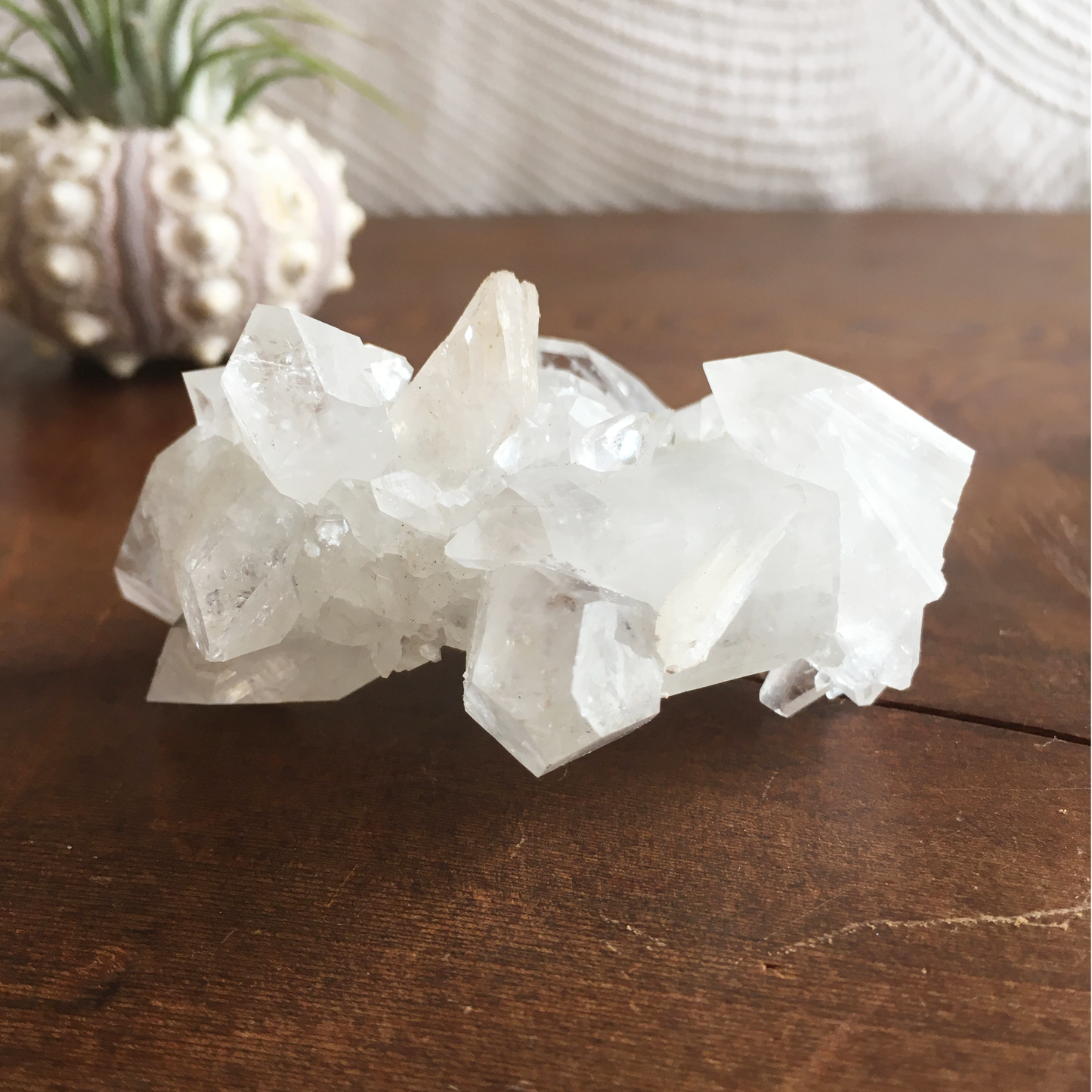 Clear Shiny Apophyllite Crystal Cluster 0E