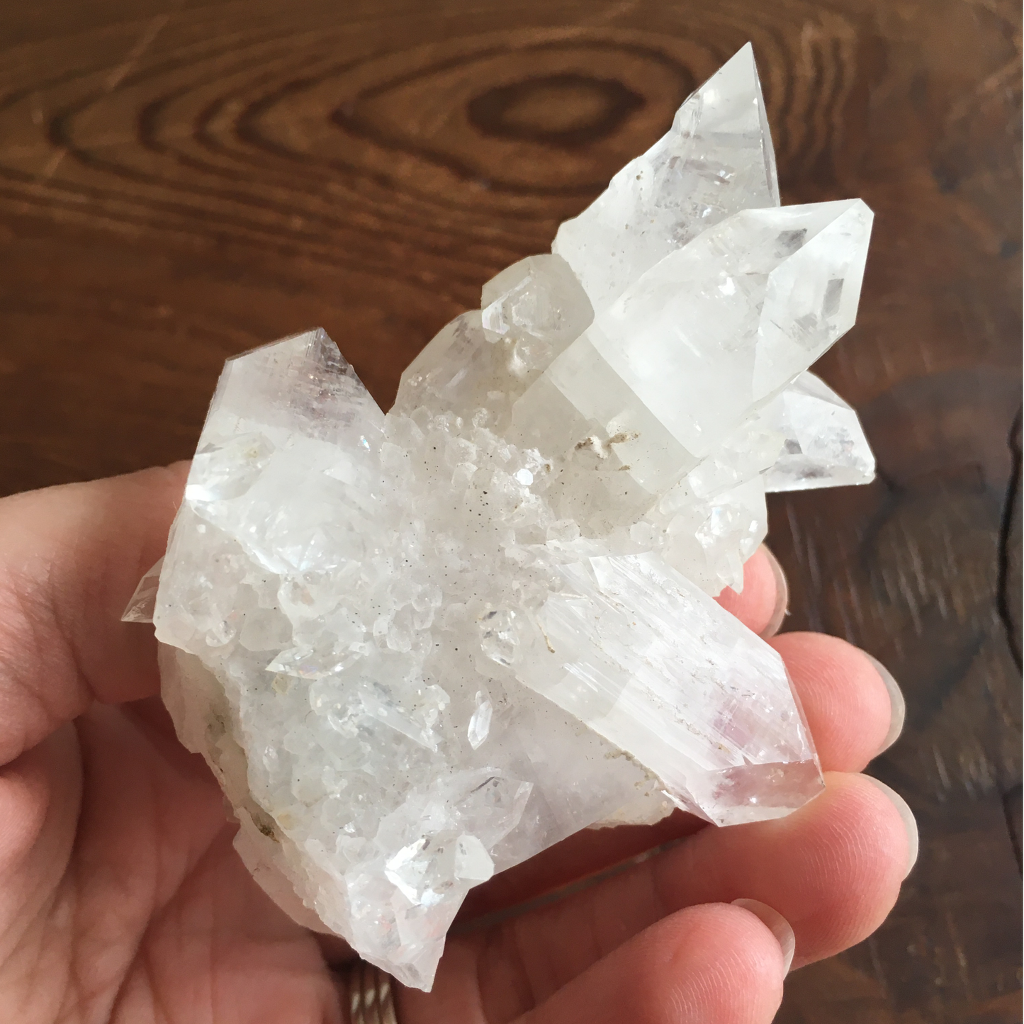 Clear Shiny Apophyllite Crystal Cluster 0E