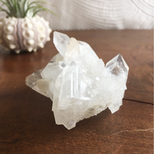 Clear Shiny Apophyllite Crystal Cluster 0E