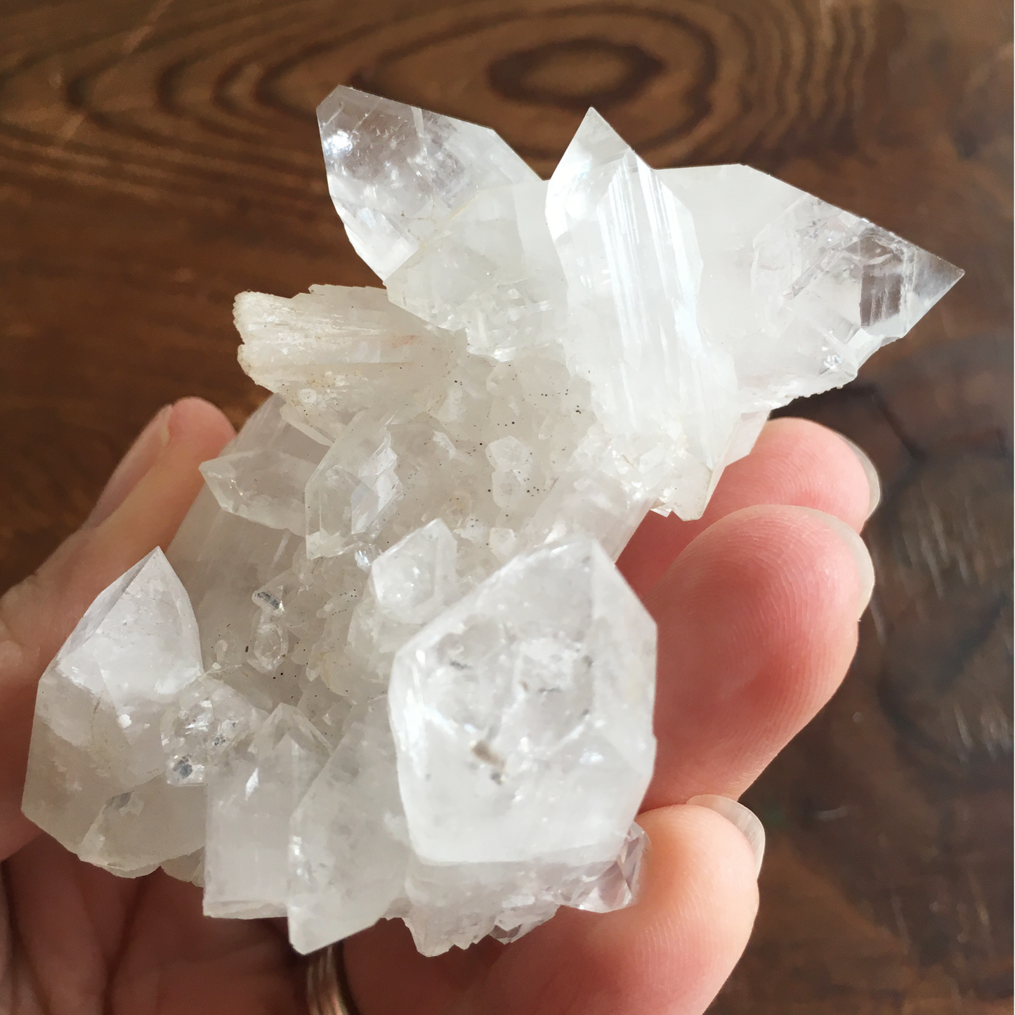 Clear Shiny Apophyllite Crystal Cluster 0E