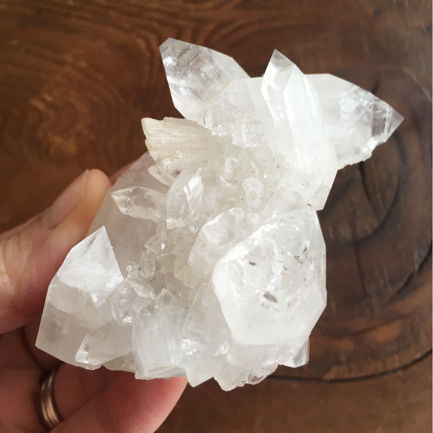 Clear Shiny Apophyllite Crystal Cluster 0E