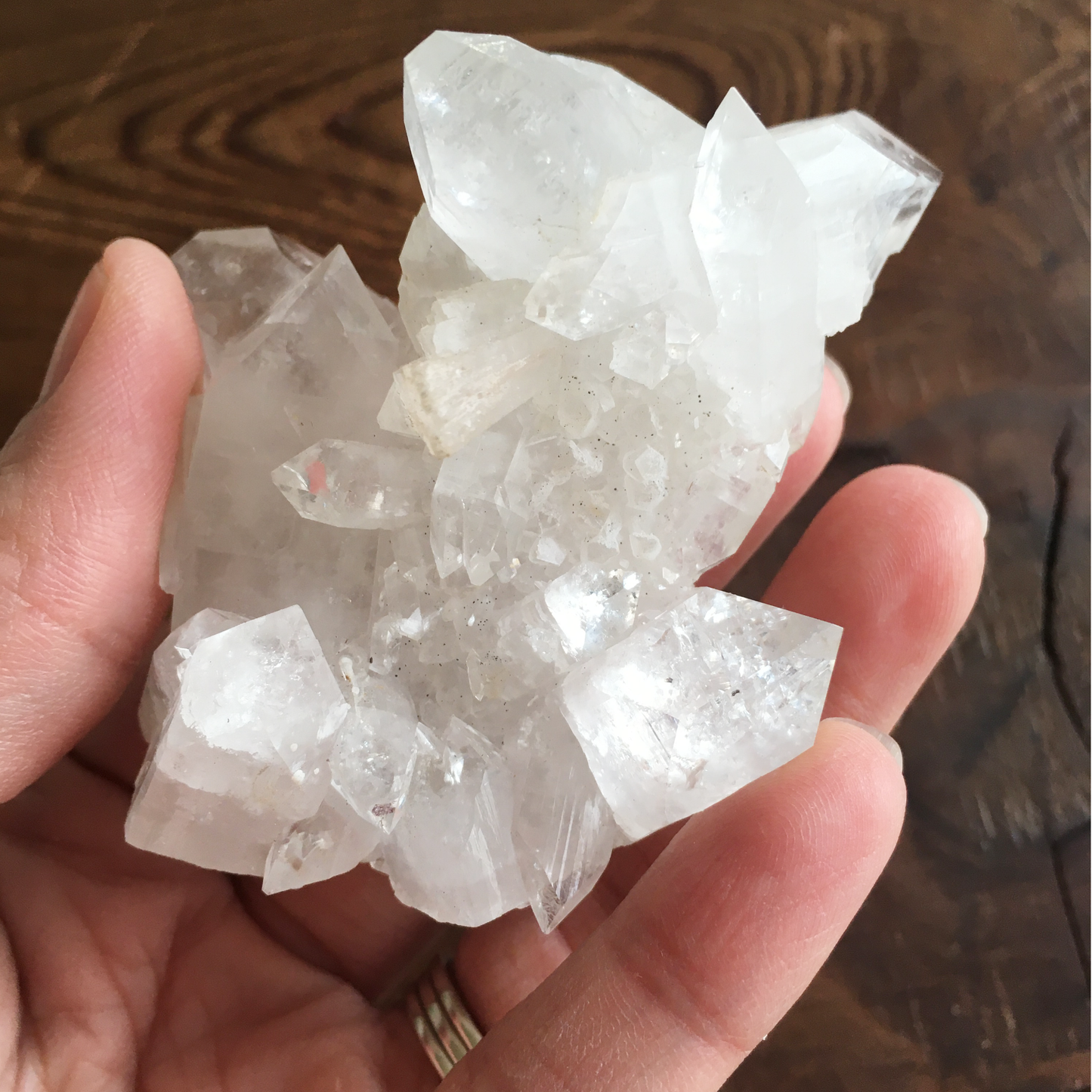 Clear Shiny Apophyllite Crystal Cluster 0E