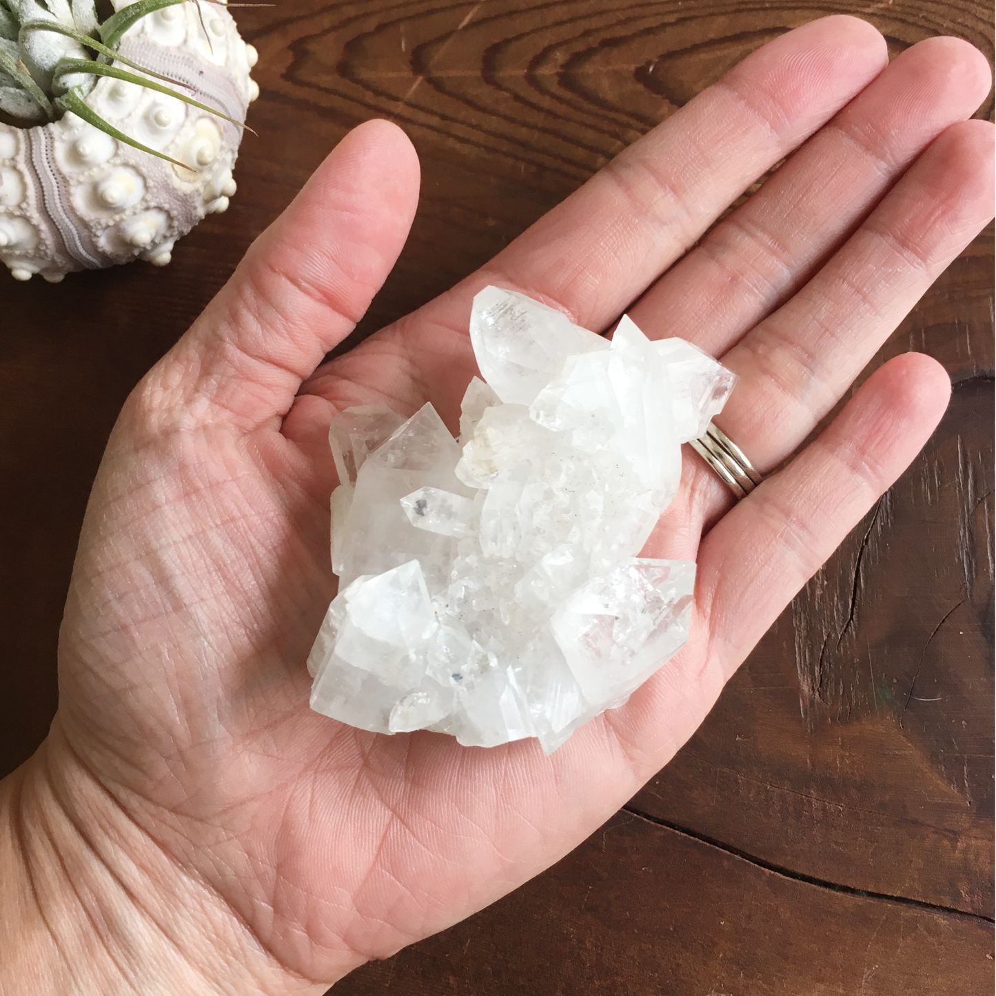 Clear Shiny Apophyllite Crystal Cluster 0E