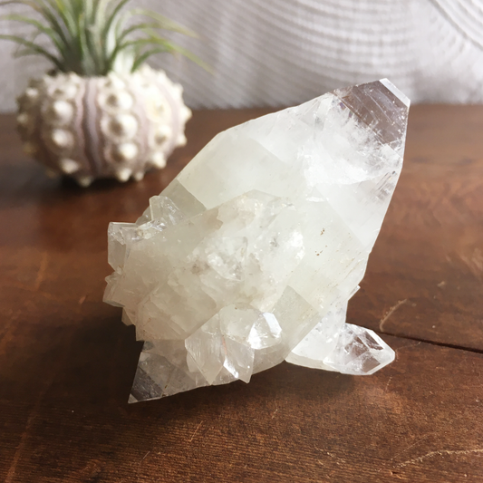 Clear Shiny Apophyllite Crystal Cluster 0F