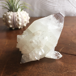 Clear Shiny Apophyllite Crystal Cluster 0F