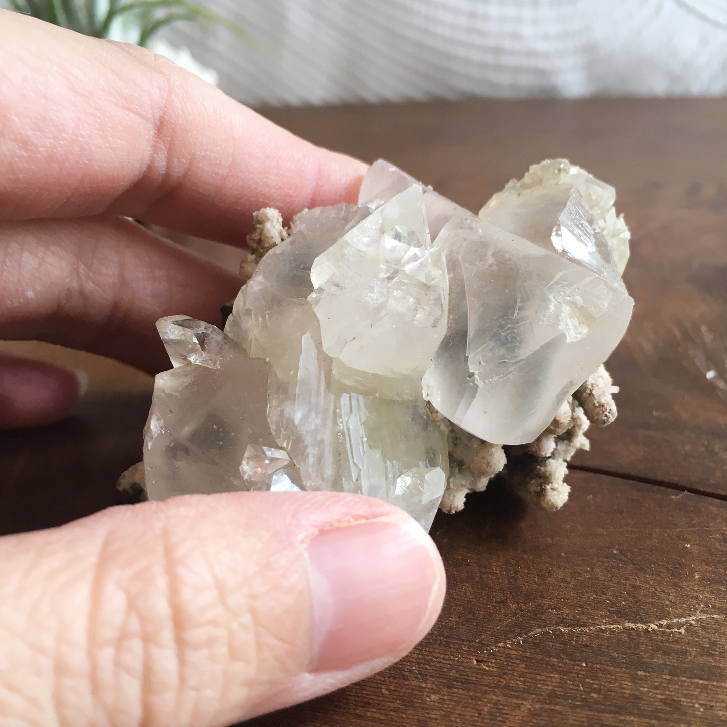 Clear White Apophyllite Crystal Cluster 0H