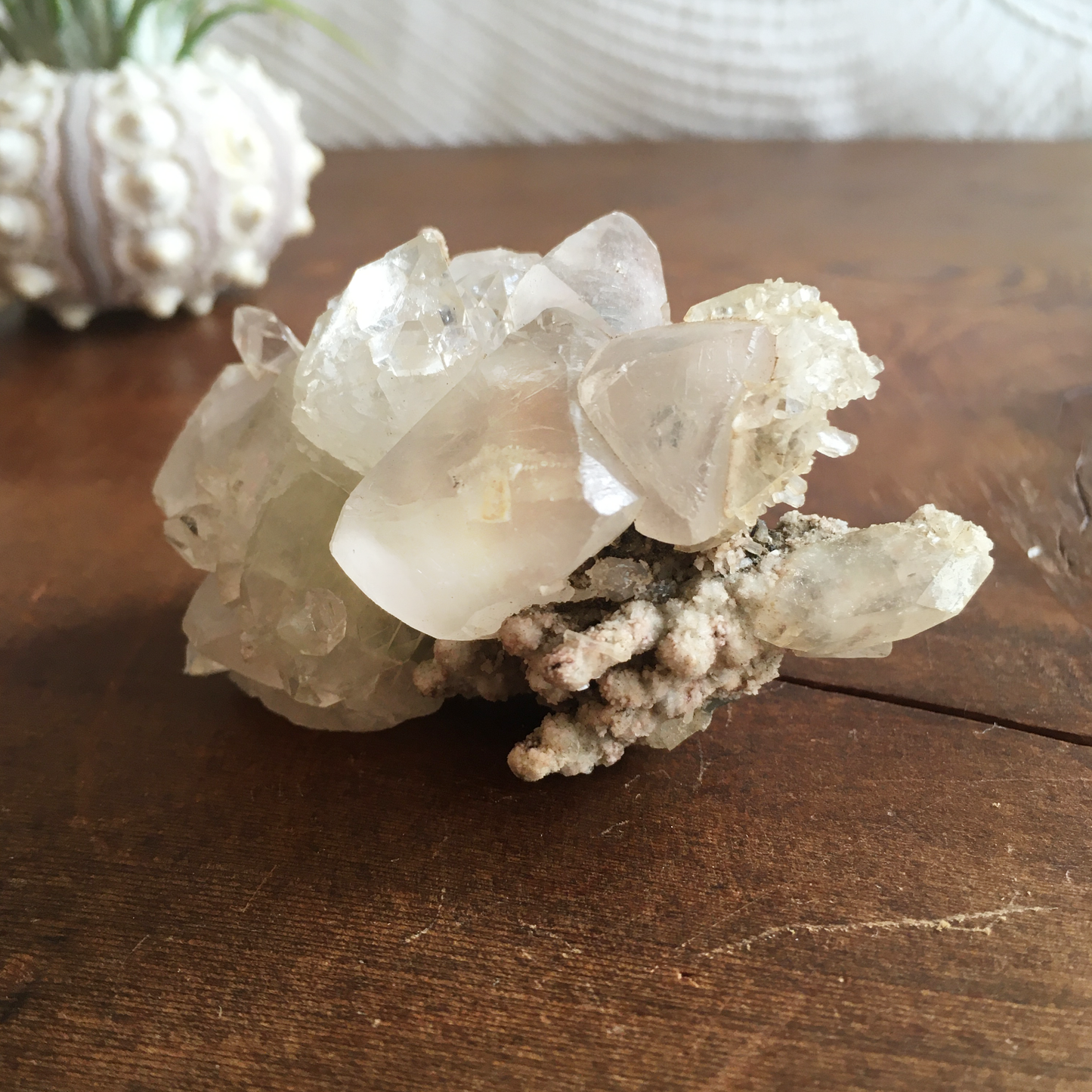 Clear White Apophyllite Crystal Cluster 0H