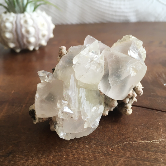 Clear White Apophyllite Crystal Cluster 0H