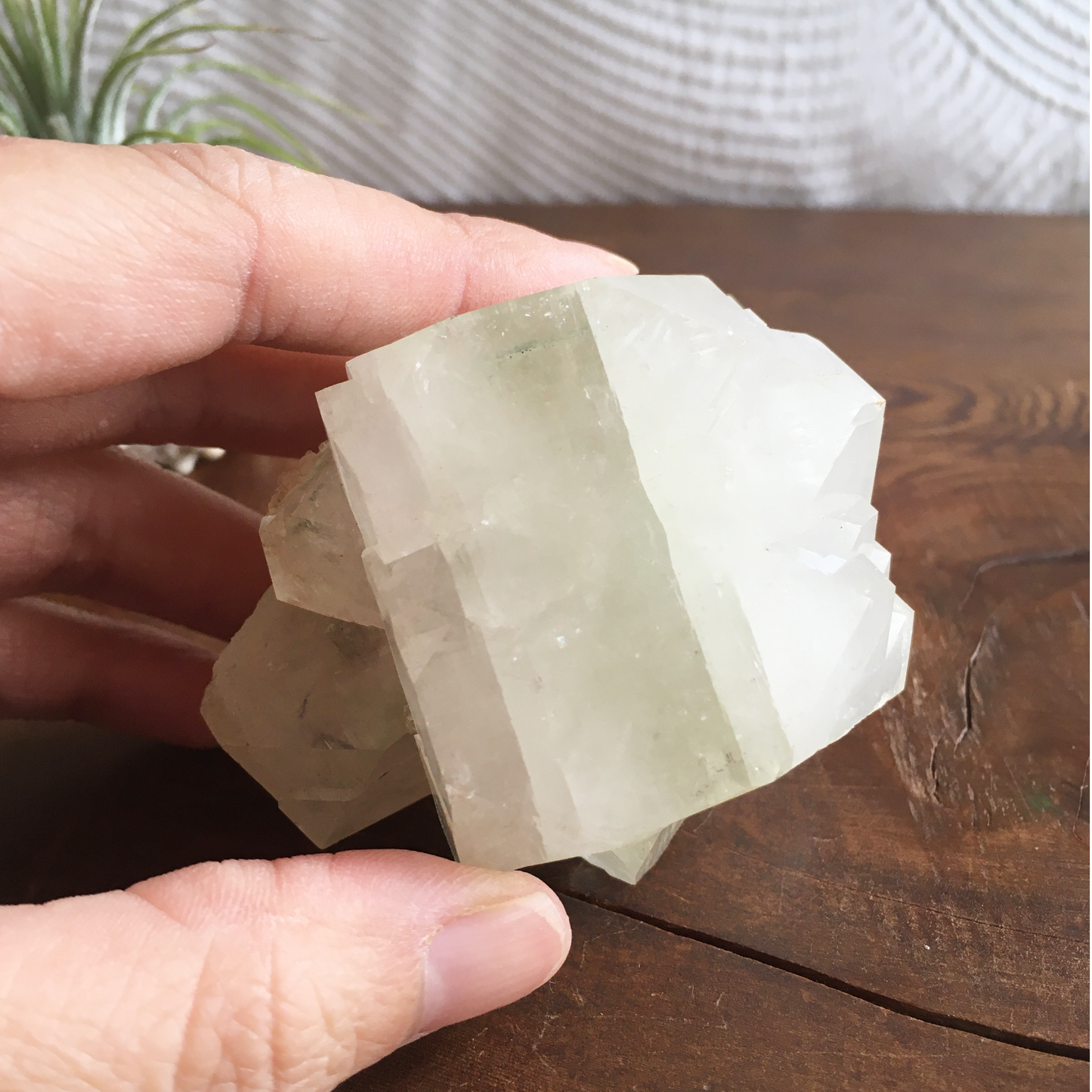 Natural Light Green Apophyllite