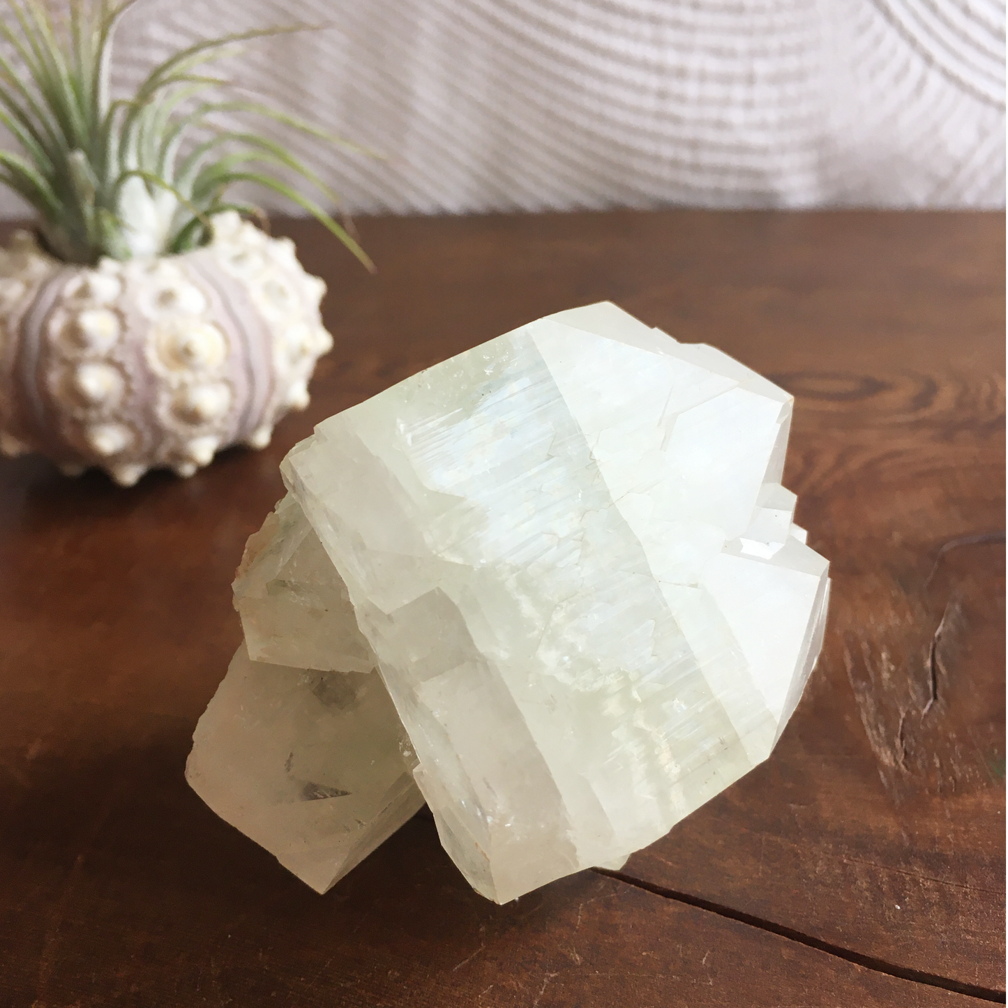 Natural Light Green Apophyllite