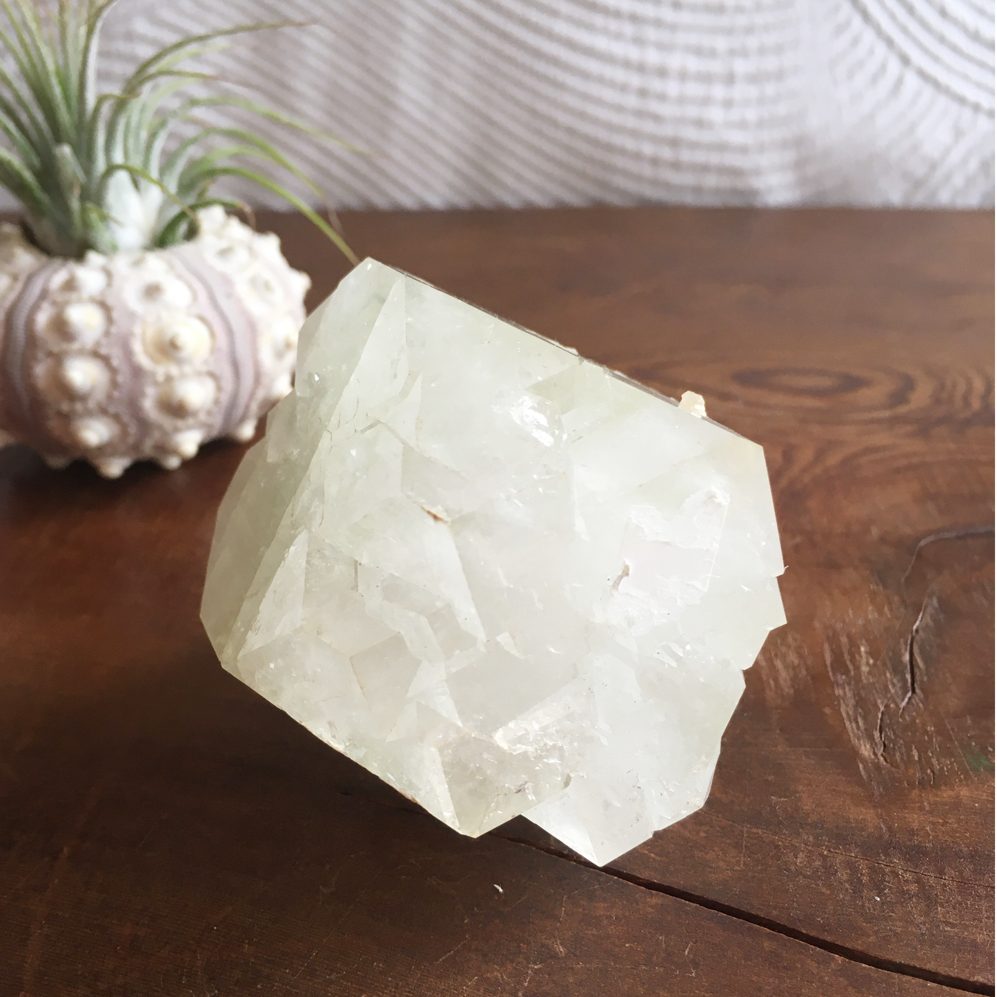 Natural Light Green Apophyllite