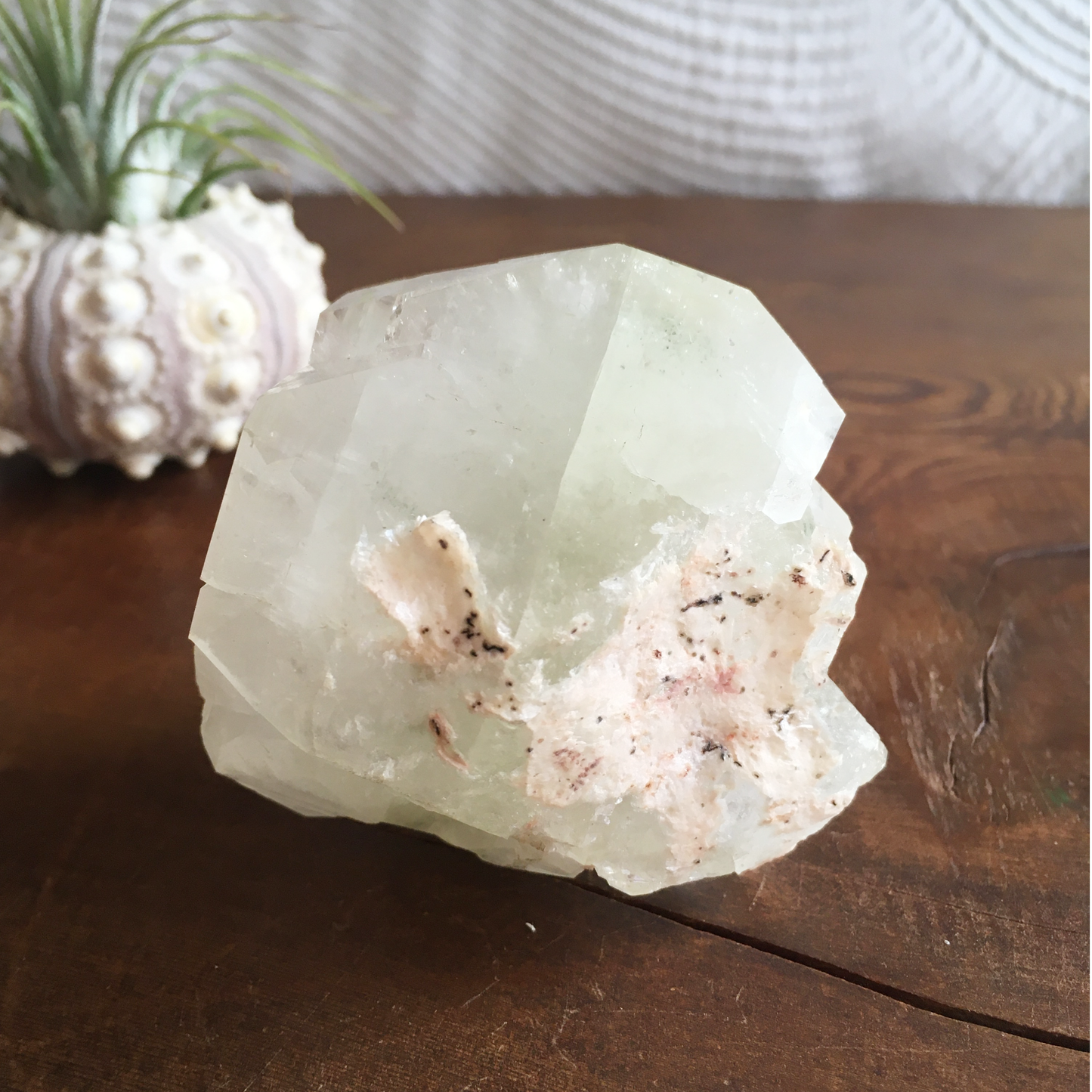 Natural Light Green Apophyllite