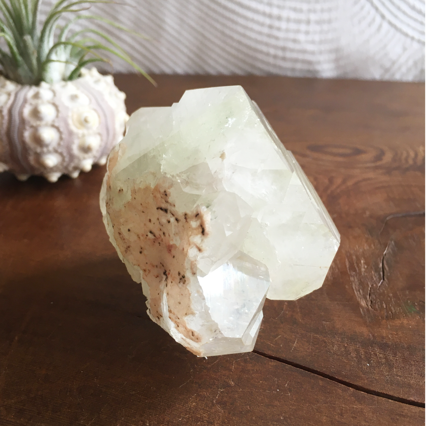 Natural Light Green Apophyllite