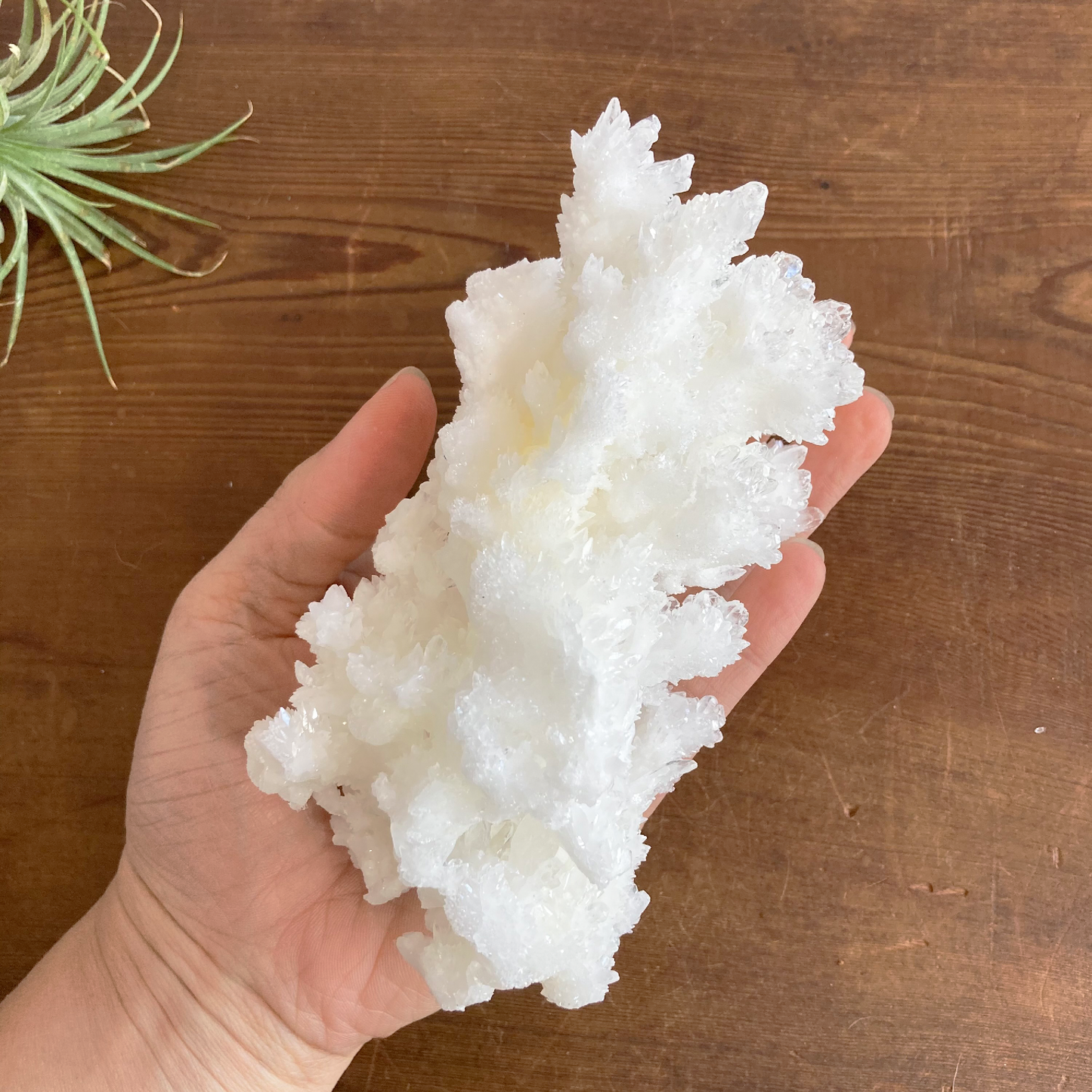 5.75" White Aragonite Calcite Cluster