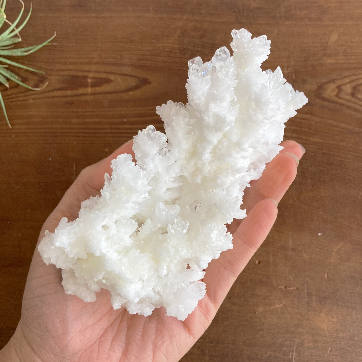 5.75" White Aragonite Calcite Cluster