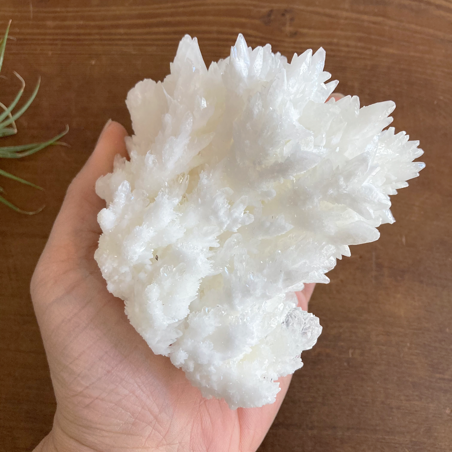 4.5" White Aragonite Calcite Cluster