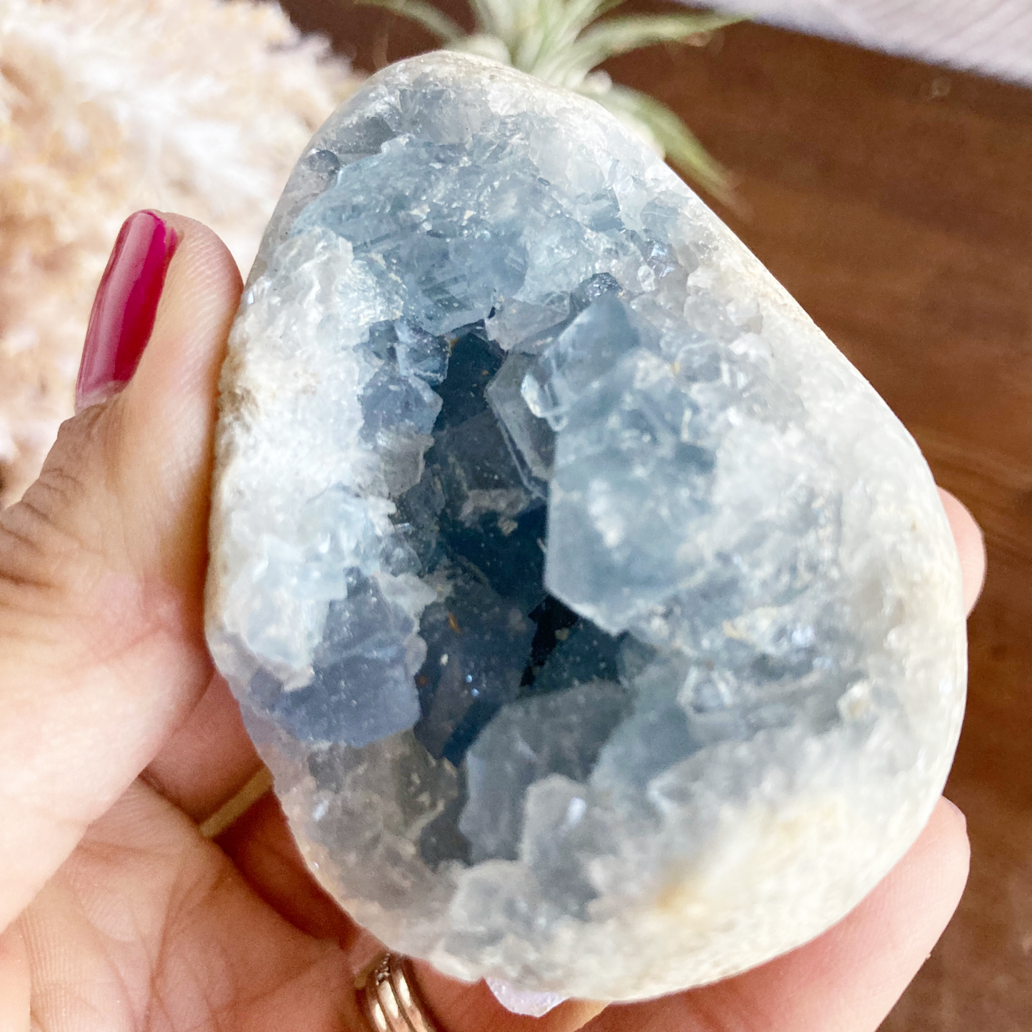 3" Celestite Egg Cluster #0G