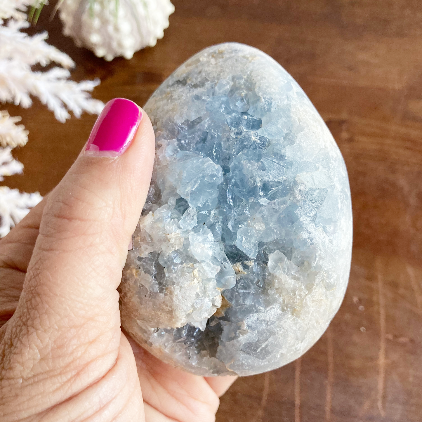 3" Celestite Egg Cluster #0C