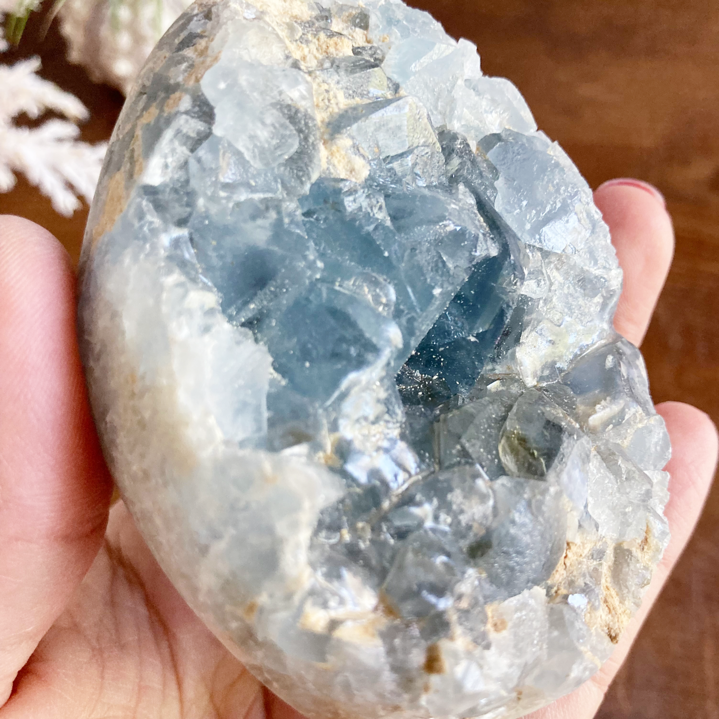 3" Celestite Egg Cluster #0C