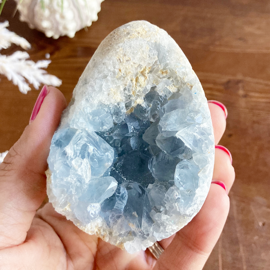 2.8" Celestite Egg Cluster #0H