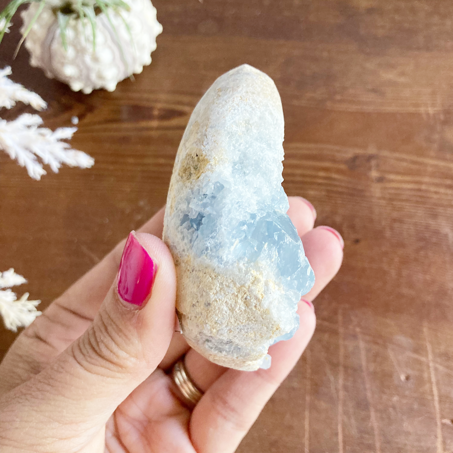 2.8" Celestite Egg Cluster #0H