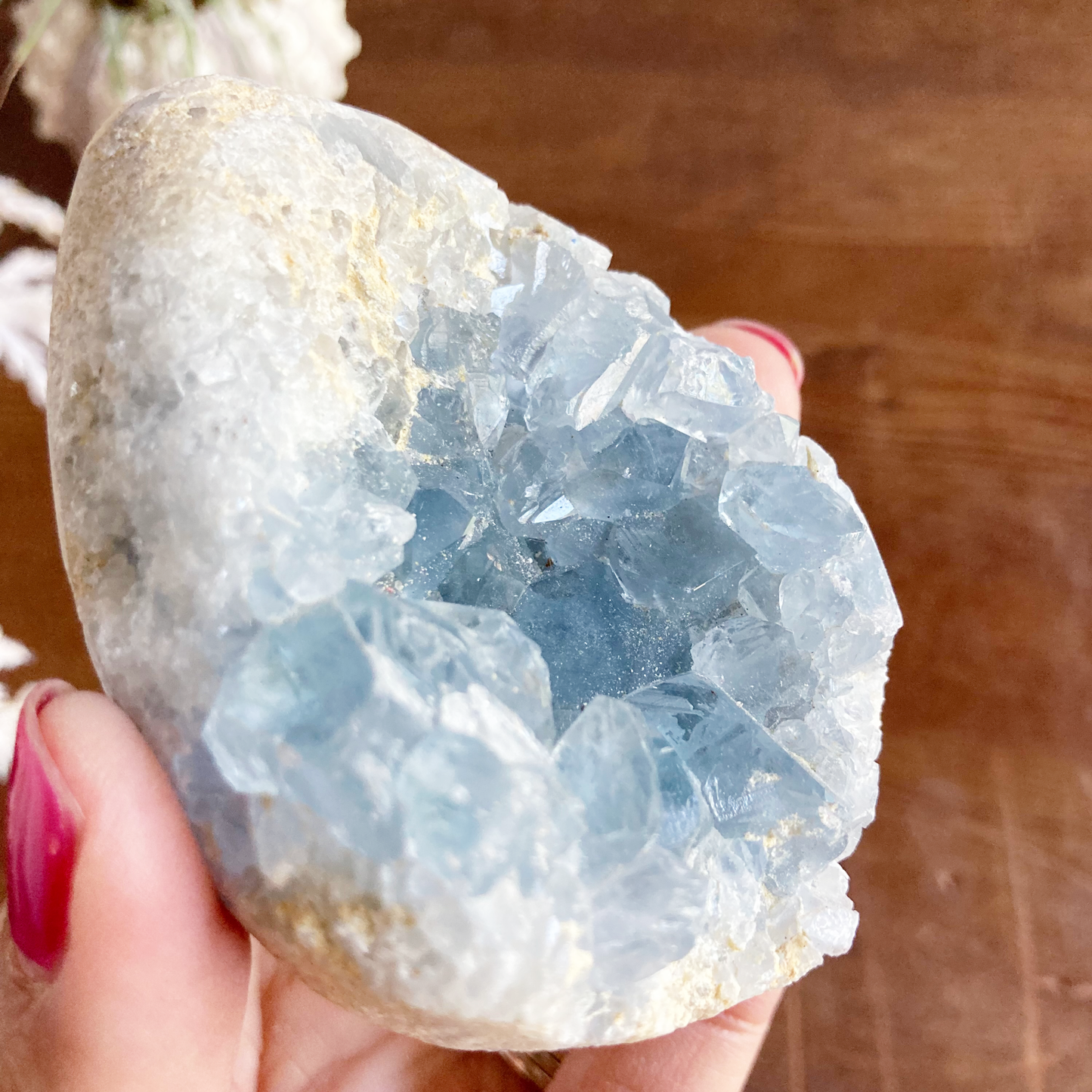 2.8" Celestite Egg Cluster #0H