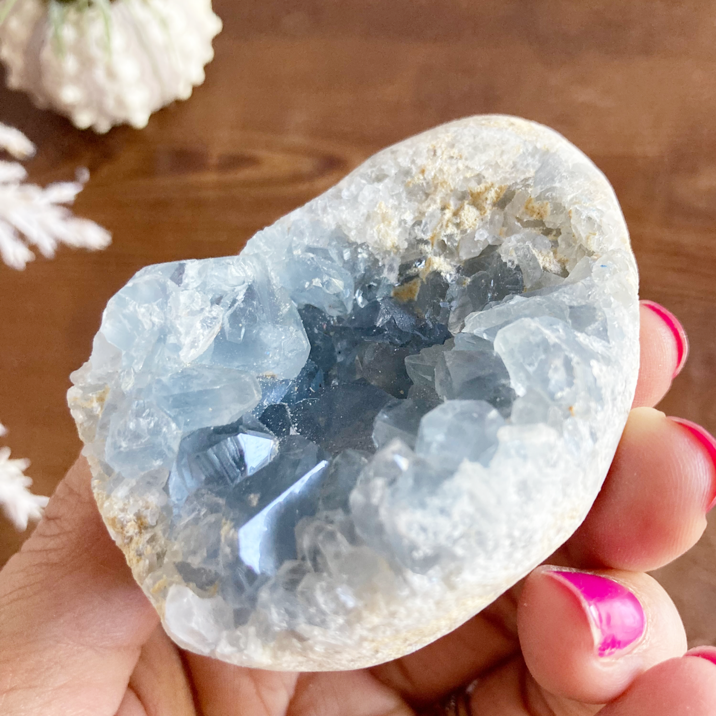 2.8" Celestite Egg Cluster #0H