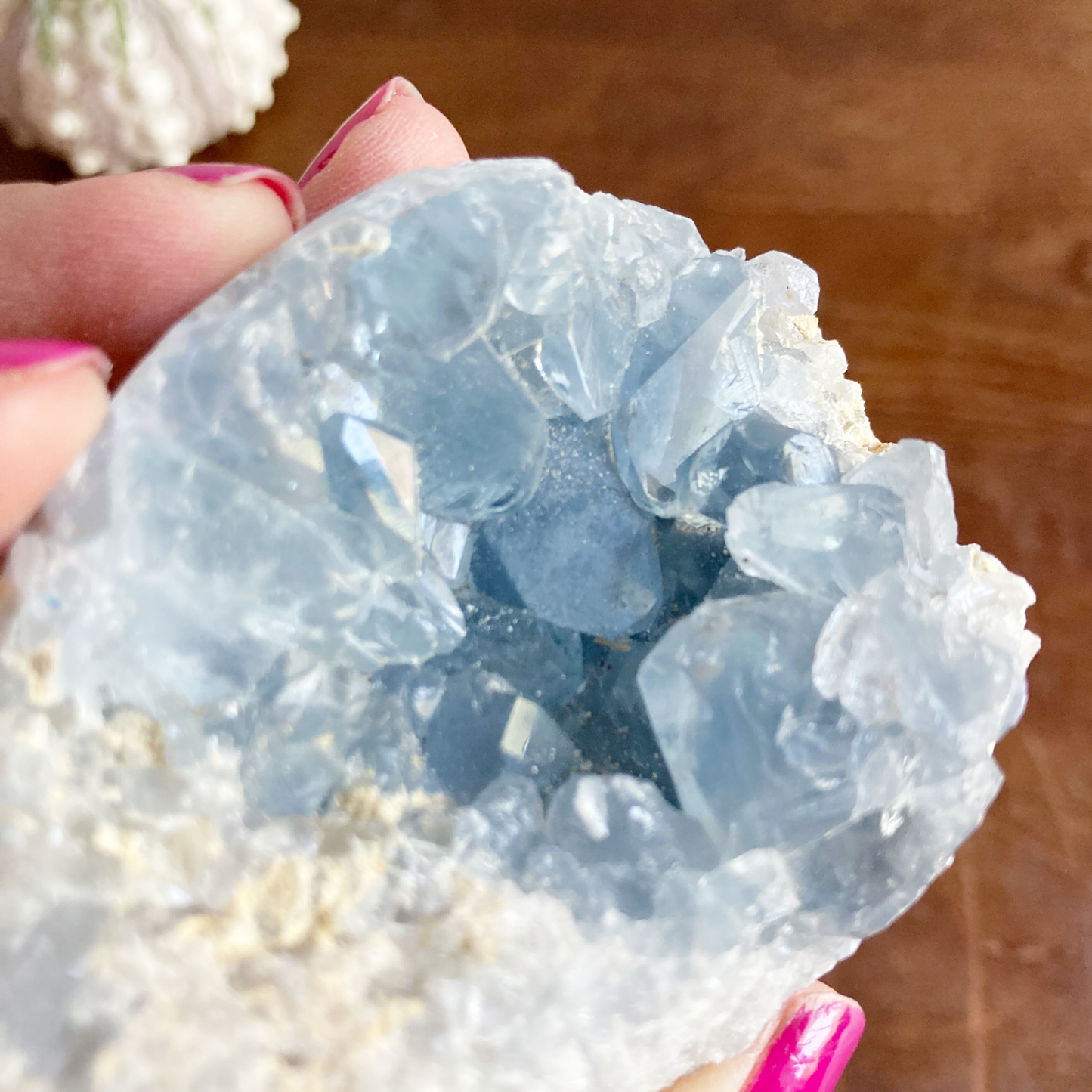 2.8" Celestite Egg Cluster #0H