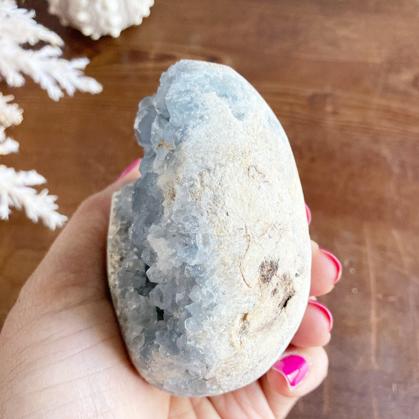 3" Celestite Egg Cluster #0I