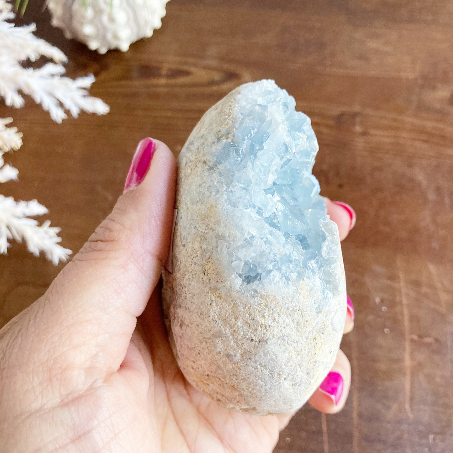 3" Celestite Egg Cluster #0I