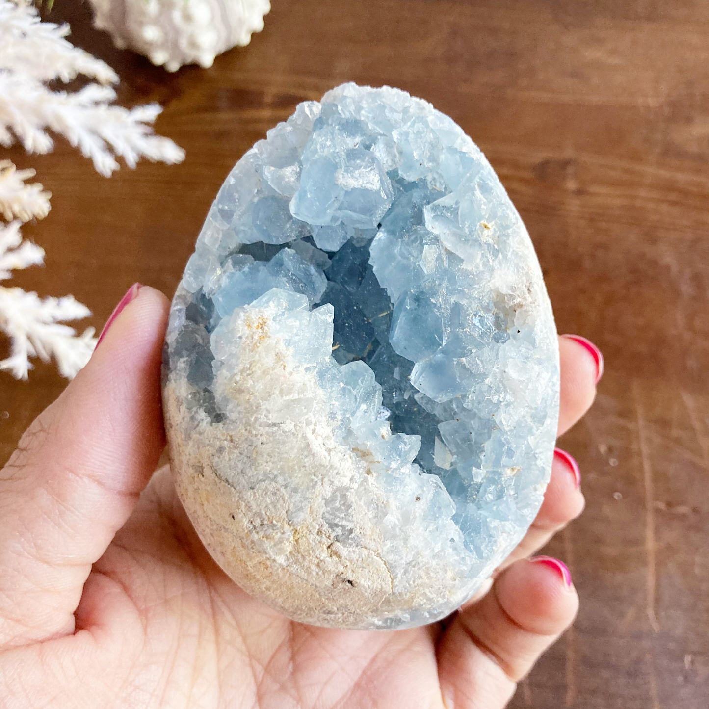 3" Celestite Egg Cluster #0I