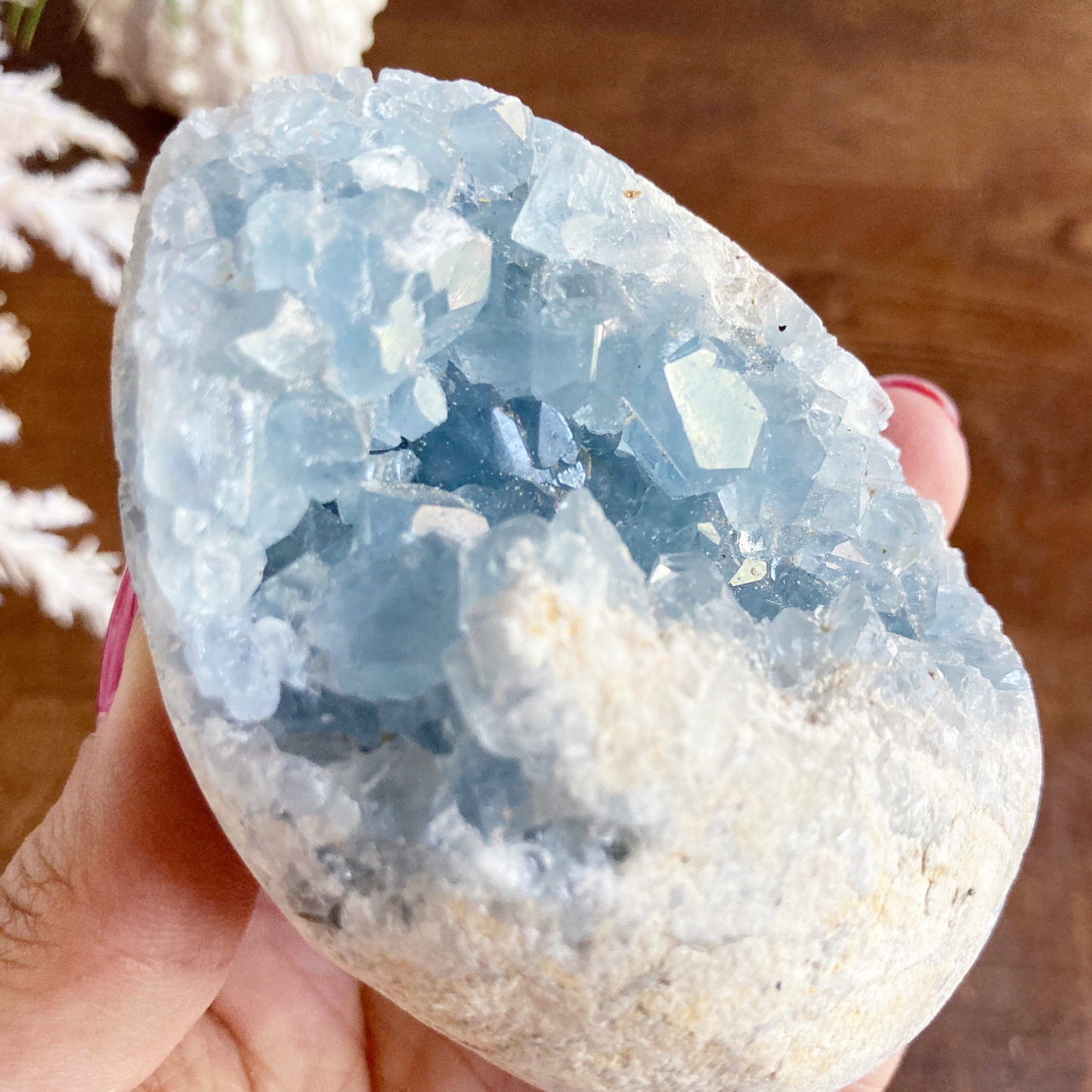 3" Celestite Egg Cluster #0I