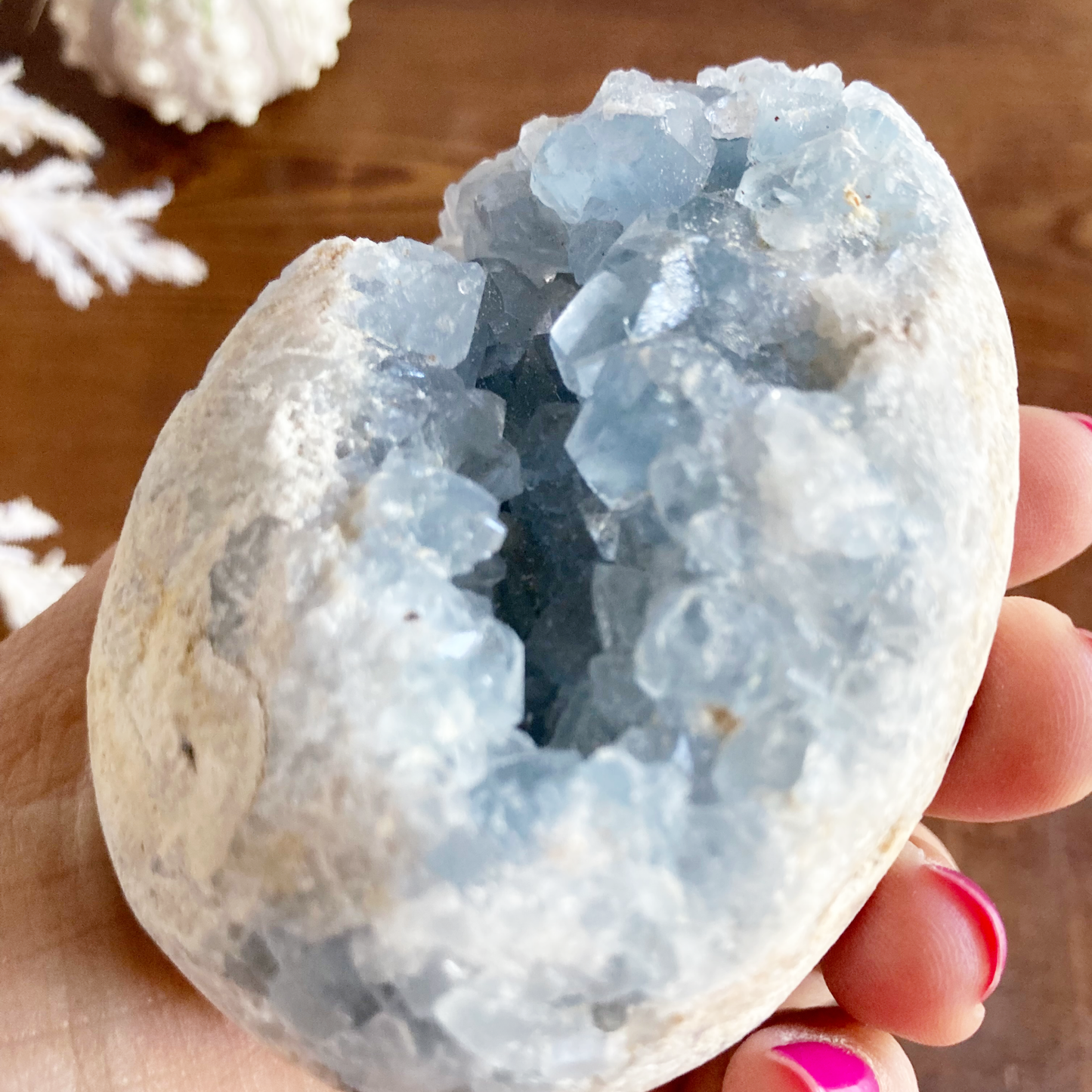 3" Celestite Egg Cluster #0I