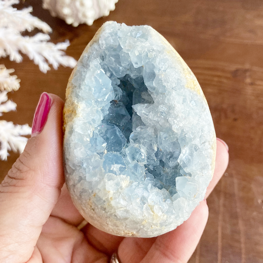 2.8" Celestite Egg Crystal Cluster #0E