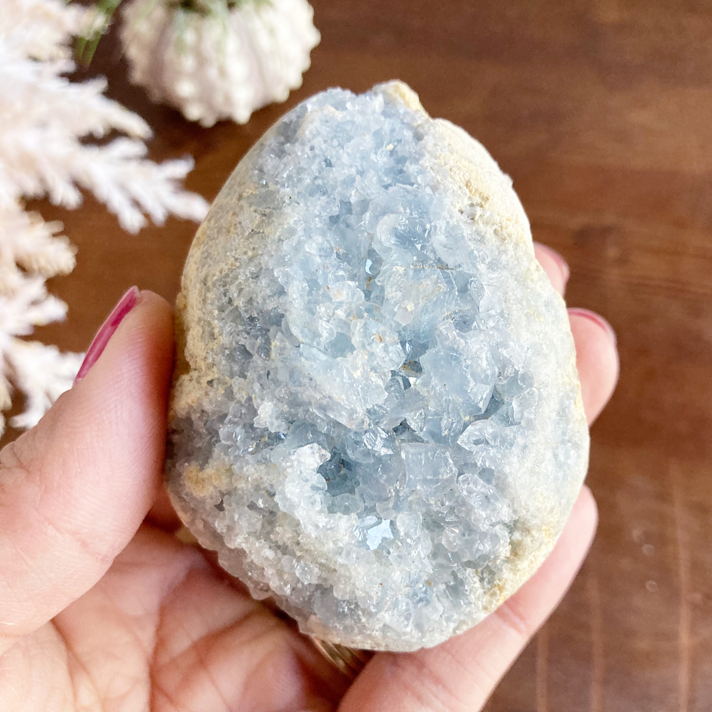 2.8" Celestite Egg Crystal Cluster #0E