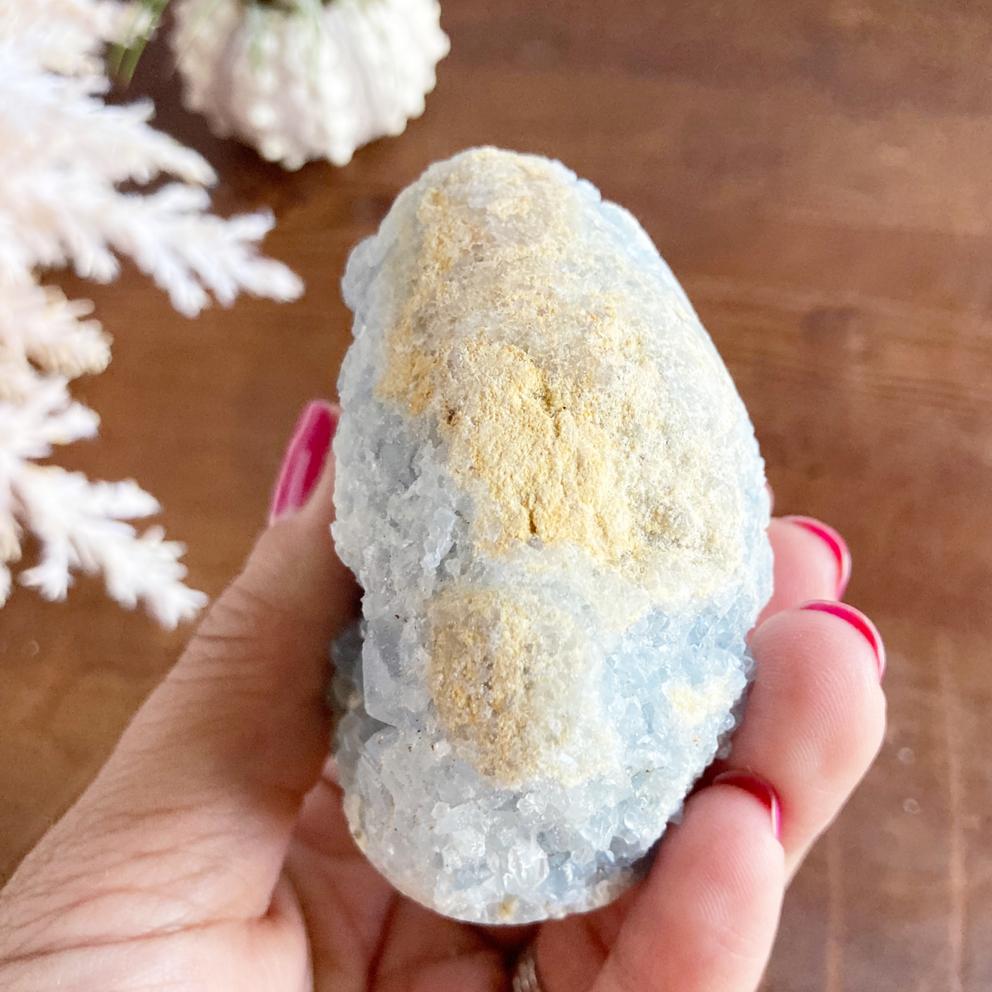 2.8" Celestite Egg Crystal Cluster #0E