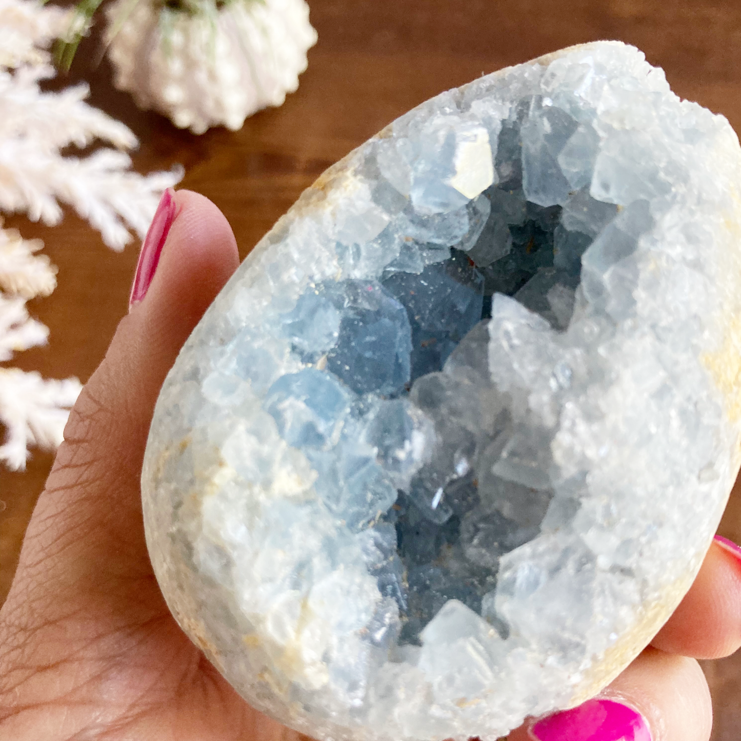 2.8" Celestite Egg Crystal Cluster #0E