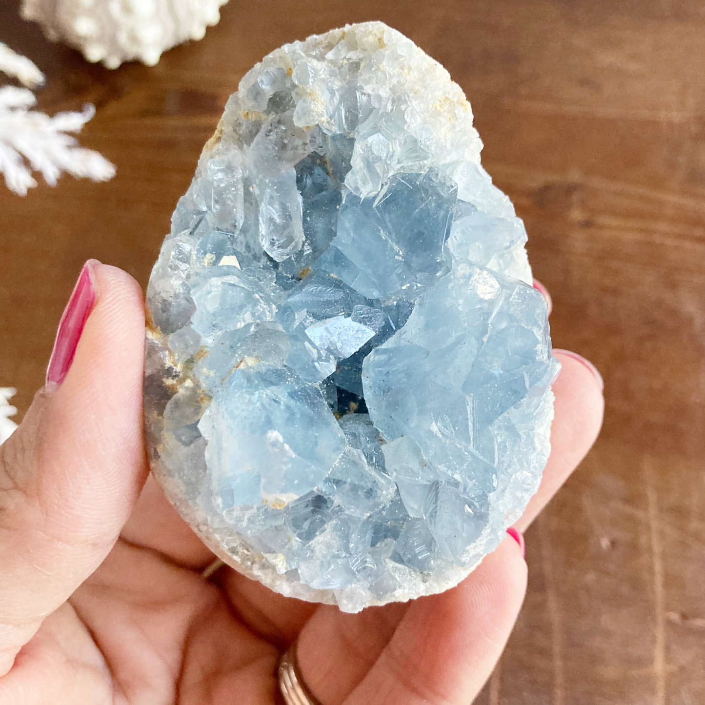 2.75" Celestite Egg Cluster #0F