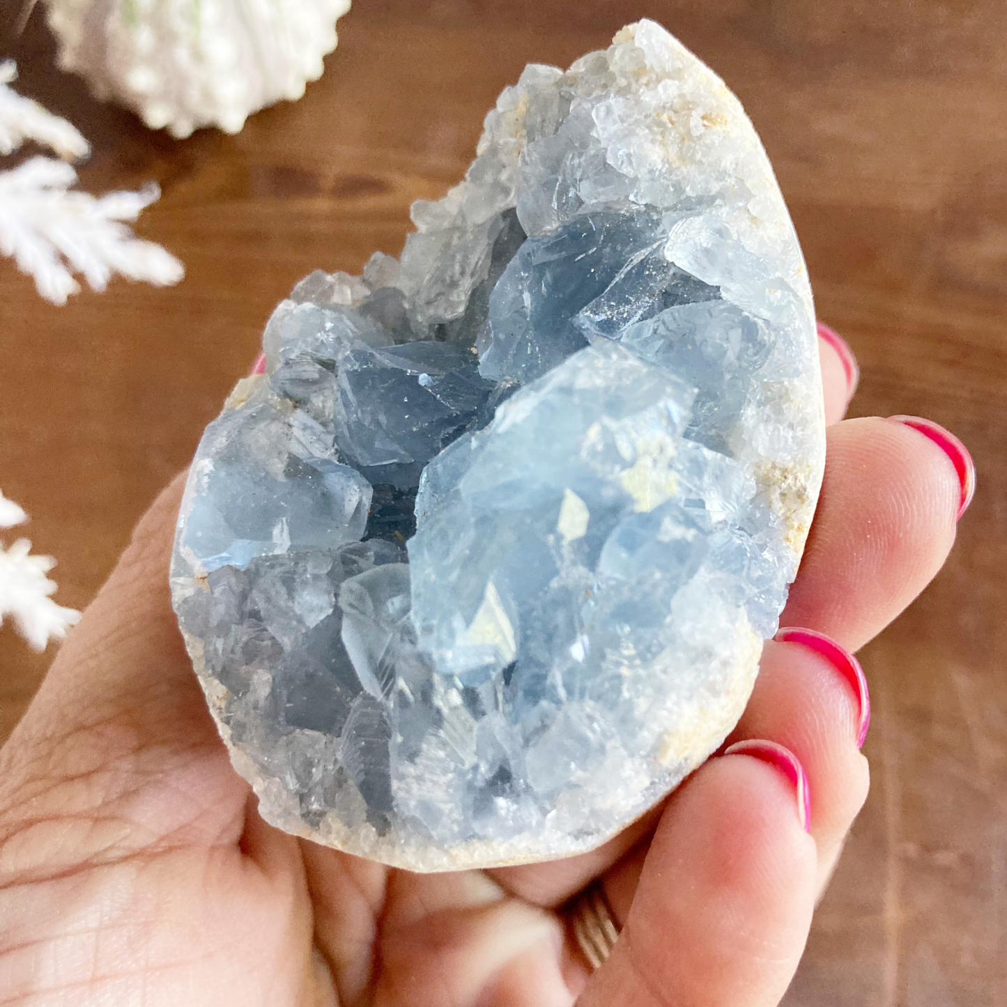 2.75" Celestite Egg Cluster #0F