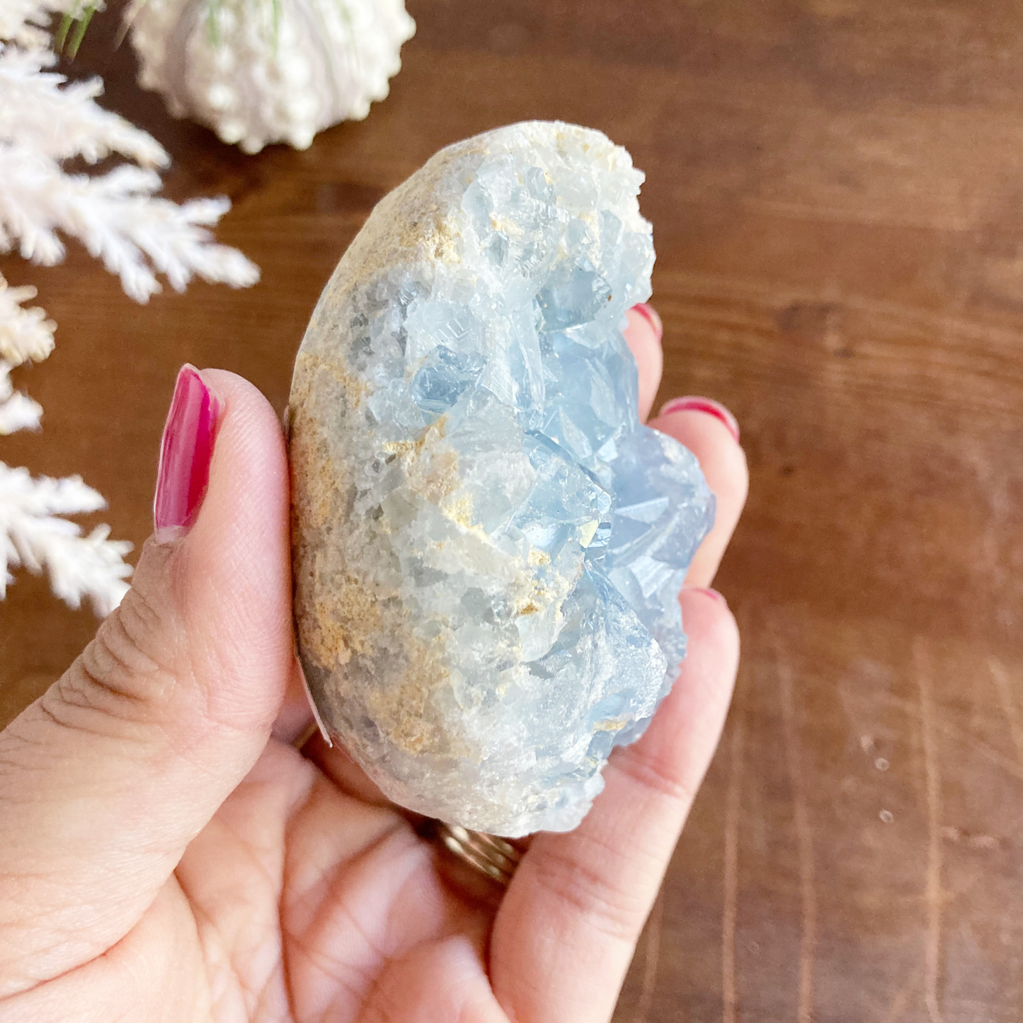 2.75" Celestite Egg Cluster #0F