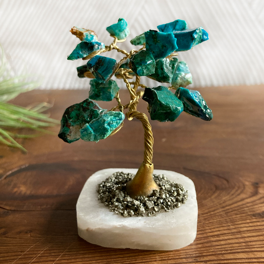 Chrysocolla Tree with Pyrite and White Onyx Base