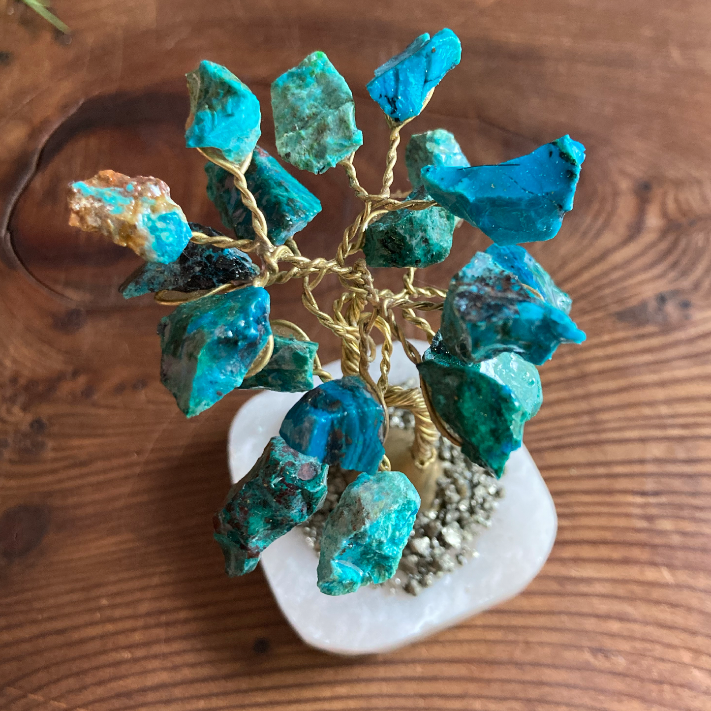 Chrysocolla Tree with Pyrite and White Onyx Base