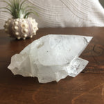 Clear Shiny Apophyllite Crystal Cluster 0D