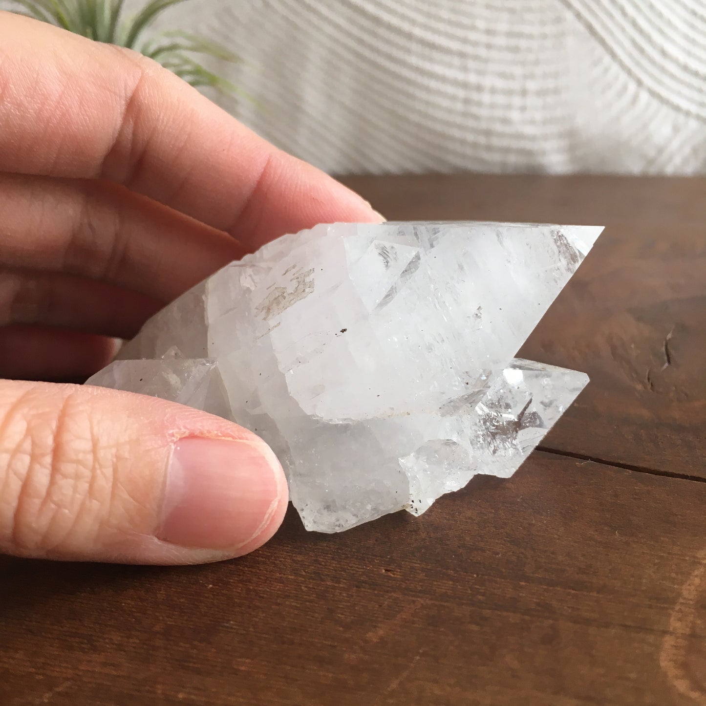 Clear Shiny Apophyllite Crystal Cluster 0D