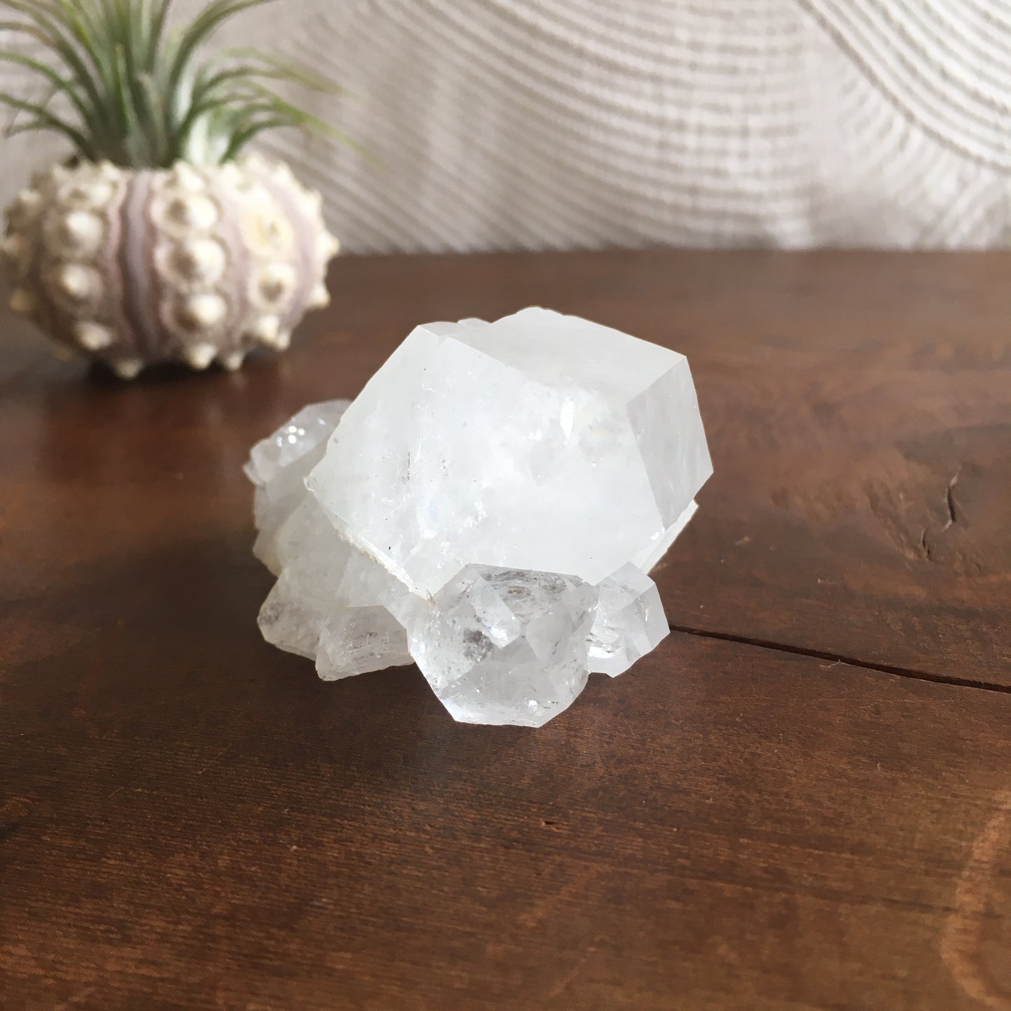 Clear Shiny Apophyllite Crystal Cluster 0D