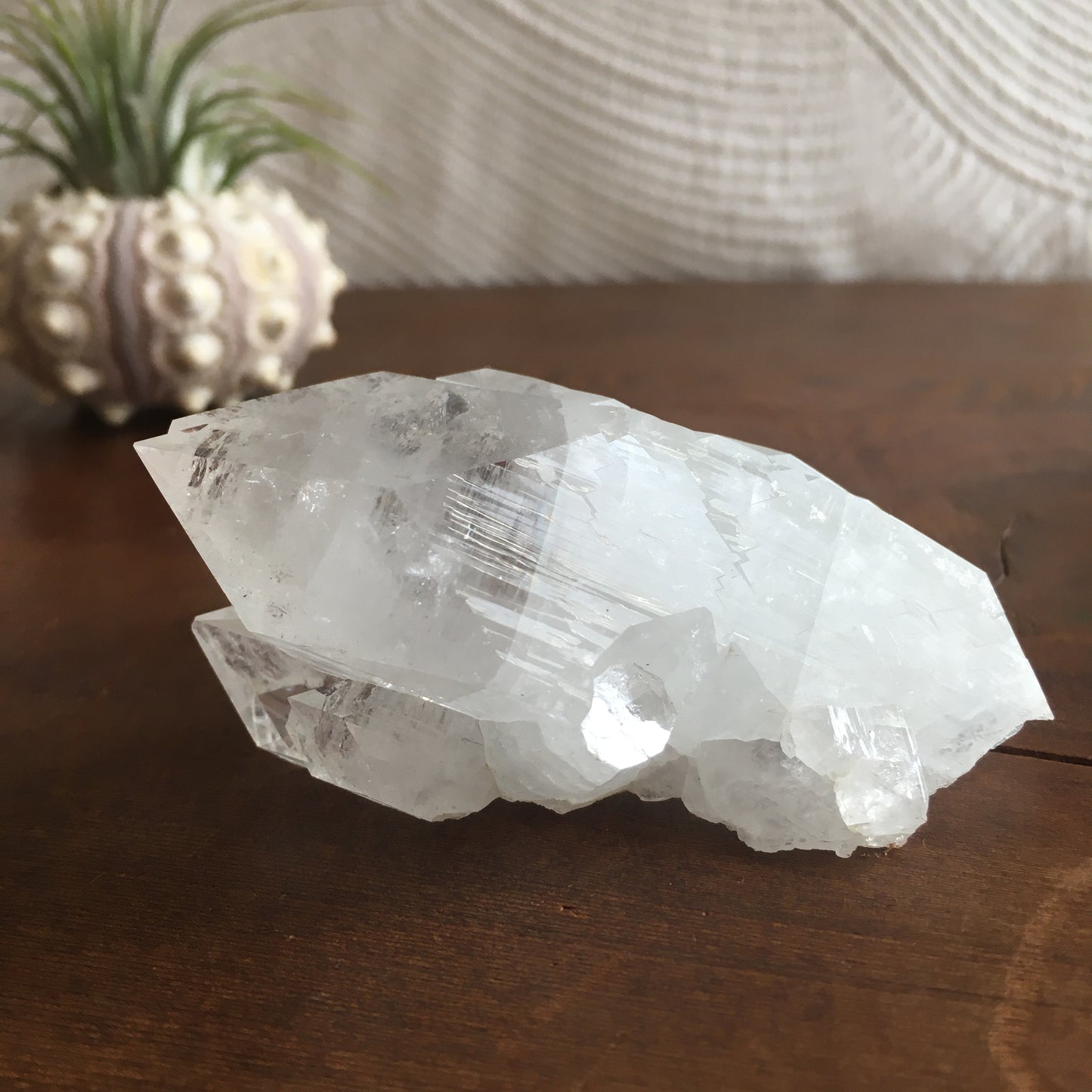 Clear Shiny Apophyllite Crystal Cluster 0D