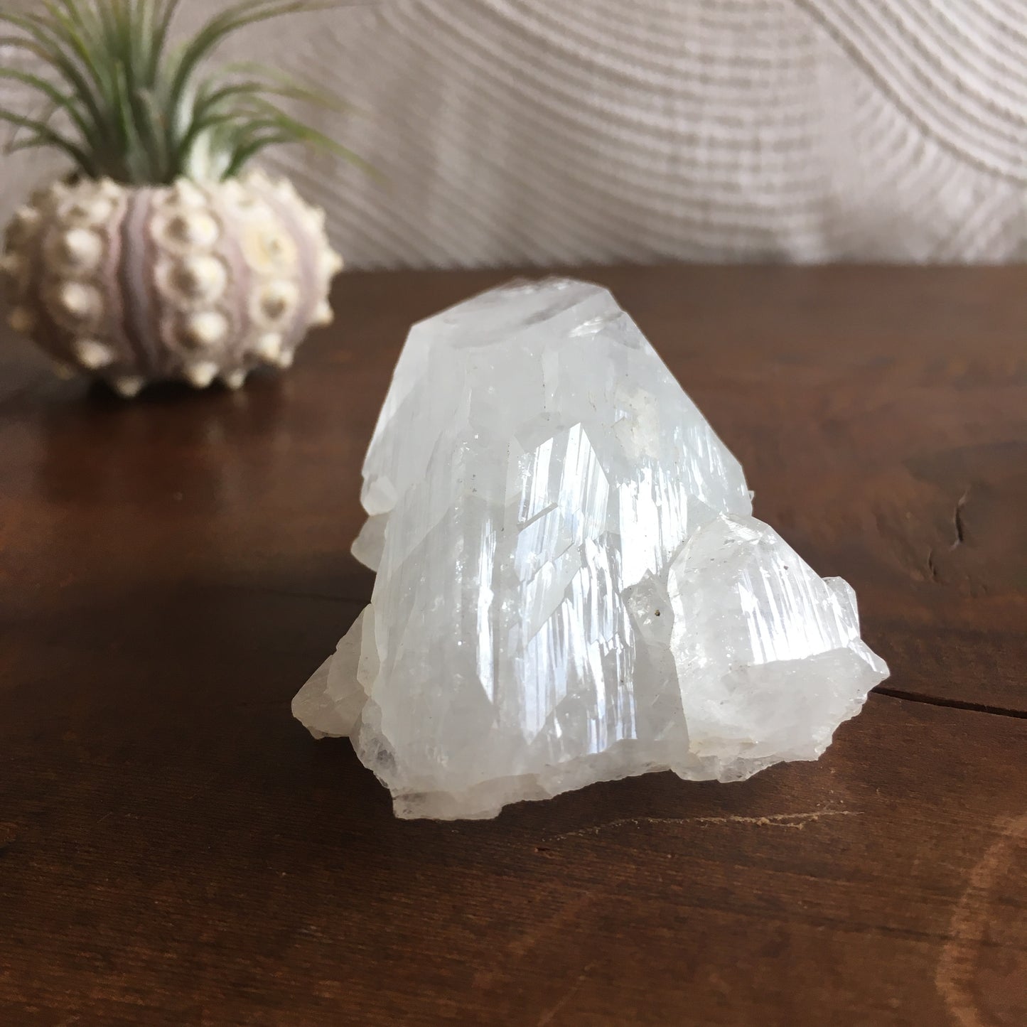 Clear Shiny Apophyllite Crystal Cluster 0D