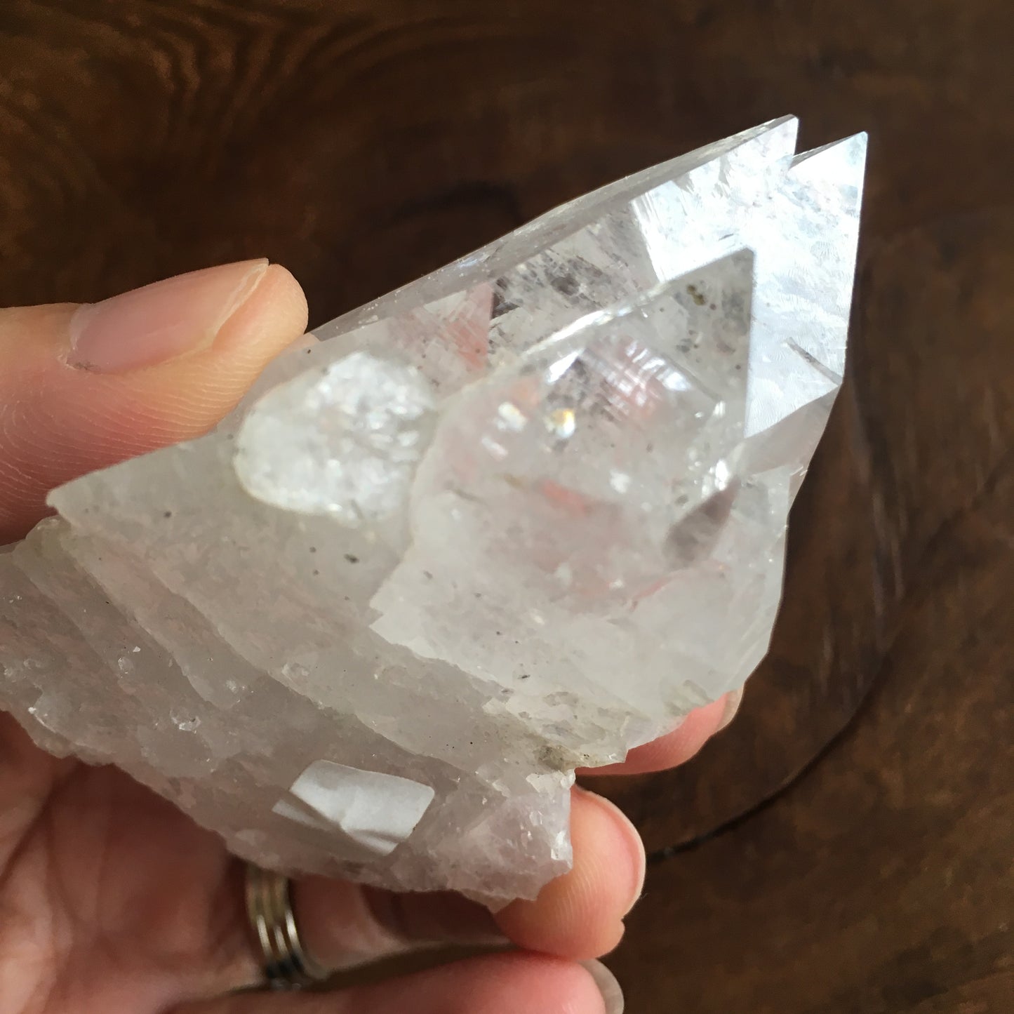 Clear Shiny Apophyllite Crystal Cluster 0D