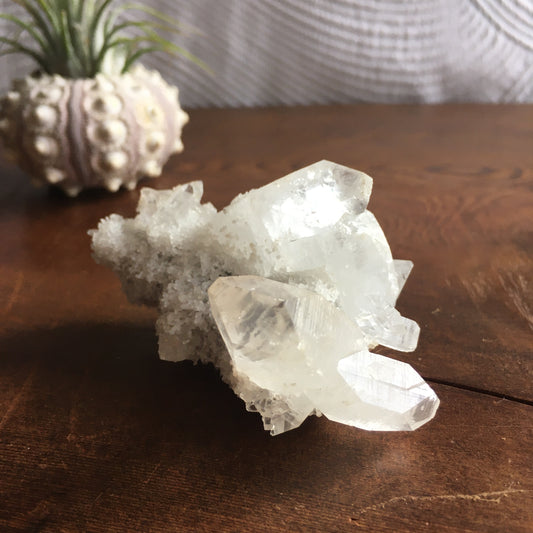 Clear Shiny Apophyllite Crystal Cluster 0G